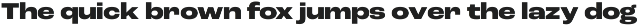 Roc Grotesk preview