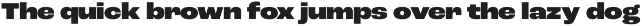 Roc Grotesk preview