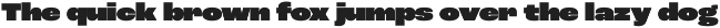 Roc Grotesk preview