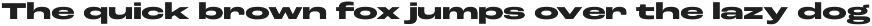 Roc Grotesk preview