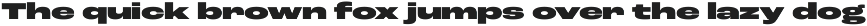 Roc Grotesk preview