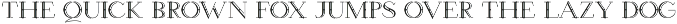 Wetetque preview