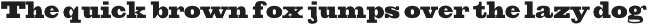 Antique Extra Bold preview