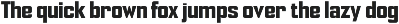 Noexit preview