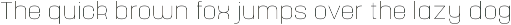 Yoshida Sans preview