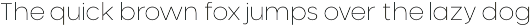 Neometric preview
