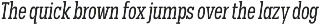 Palo Slab preview