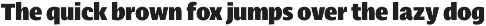 Ahimsa preview