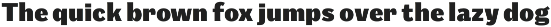 Mushin preview