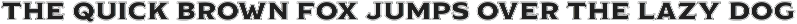 Modesto Initials preview