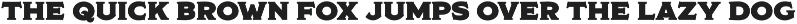 Modesto Initials preview