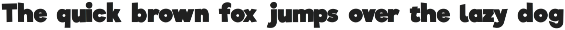 Riffic preview