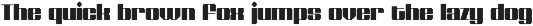 Shtozer preview