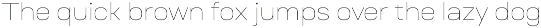Ruberoid preview