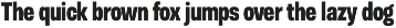 Otoiwo Grotesk Compressed preview