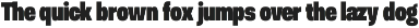 Otoiwo Grotesk Compressed preview