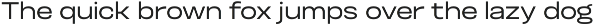 Otoiwo Grotesk Extended preview