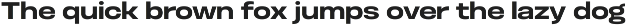 Otoiwo Grotesk Extended preview