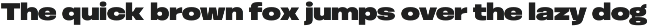 Otoiwo Grotesk Extended preview
