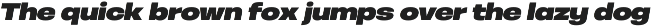 Otoiwo Grotesk Extended preview