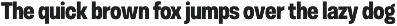 Otoiwo Grotesk Narrow preview
