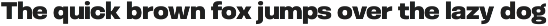 Otoiwo Grotesk Normal preview