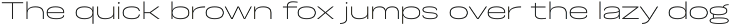 Otoiwo Grotesk Ultra Wide preview