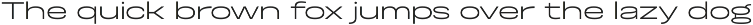 Otoiwo Grotesk Ultra Wide preview