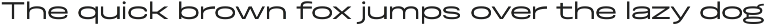 Otoiwo Grotesk Ultra Wide preview