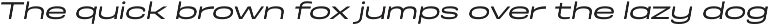 Otoiwo Grotesk Ultra Wide preview