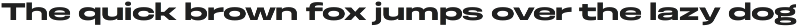 Otoiwo Grotesk Ultra Wide preview