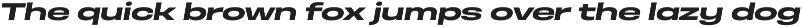 Otoiwo Grotesk Ultra Wide preview
