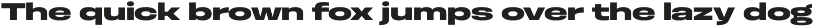 Otoiwo Grotesk Ultra Wide preview