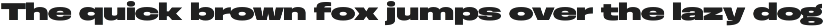 Otoiwo Grotesk Ultra Wide preview
