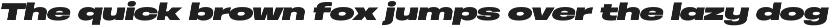 Otoiwo Grotesk Ultra Wide preview