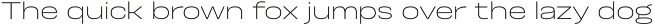 Otoiwo Grotesk Wide preview