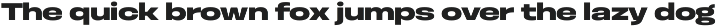 Otoiwo Grotesk Wide preview