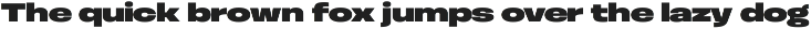 Otoiwo Grotesk Wide preview
