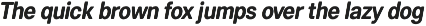 Scuto Soft preview