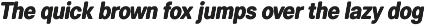 Scuto Soft preview