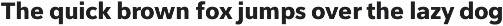 Vernacular Sans preview