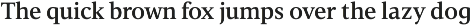Vernacular Serif preview