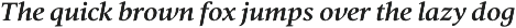 Vernacular Serif preview