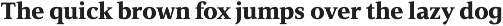 Vernacular Serif preview