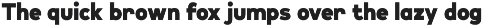 Lonie preview