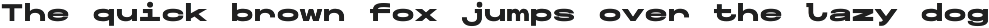 Maincode Mono preview