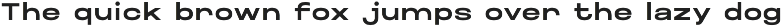 Maincode preview