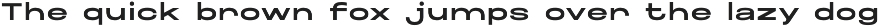 Maincode preview
