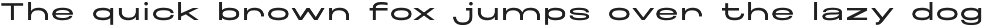 Maincode preview