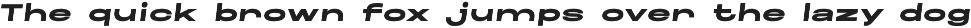 Maincode preview